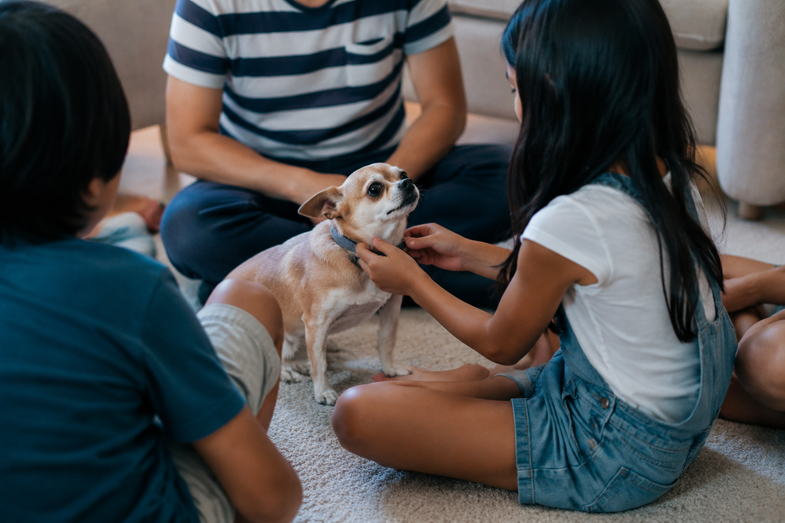 A family with young kids in a support circle as one child holds their Chihuahua's tiny collar — another moment